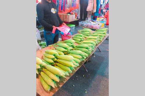 9Pax BintangCottage CameronHighlands *星之高原屋*