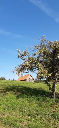  Boerderaaj vakantiewoning, Pension in Bilzen