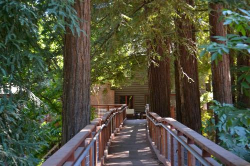 Guerneville Lodge