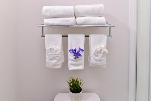 Holiday Inn Express & Suites San Diego - Mission Valley by IHG
