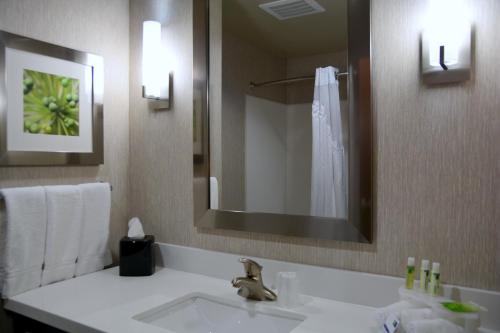 Holiday Inn Express Tomball an IHG Hotel - image 4