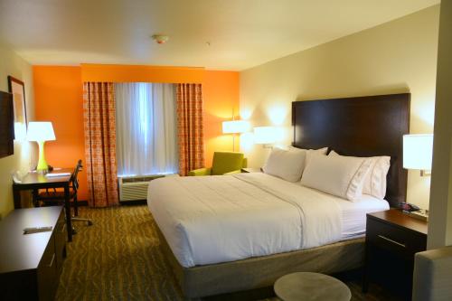 Holiday Inn Express Tomball an IHG Hotel - image 5