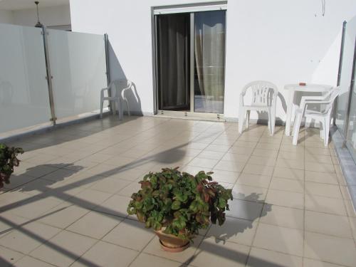 Entrada, Flor Do Douro - Comercio e Hotelaria, Lda in Miranda Do Douro