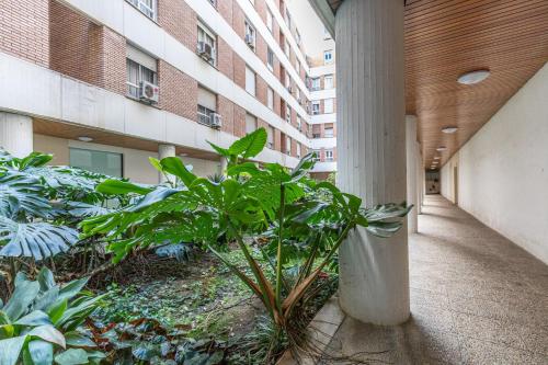 Ideal apto 1 hab 4 px acogedor y buenas calidades, Kordoba (zdjęcie 7)
