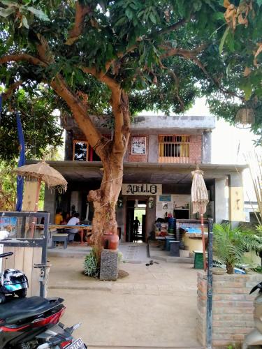 Apollo Hostel – Singaraja, CO