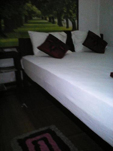 Lotus Inn Tourist Resort