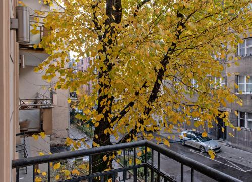 3D WYGODA Apartamenty, Cracovie (photo 4)