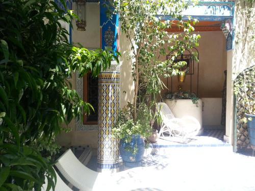 Riad Puchka - image 2