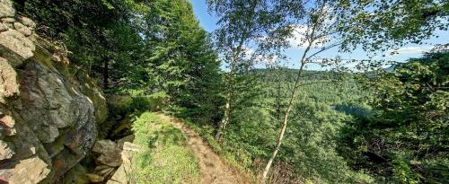 Penzion Studánka Klíny - image 8