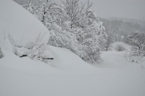 บริการและสิ่งอำนวยความสะดวก, Ferienhaus Dum in กรีเบิน