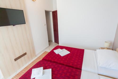 Vila Mitrovic - image 9