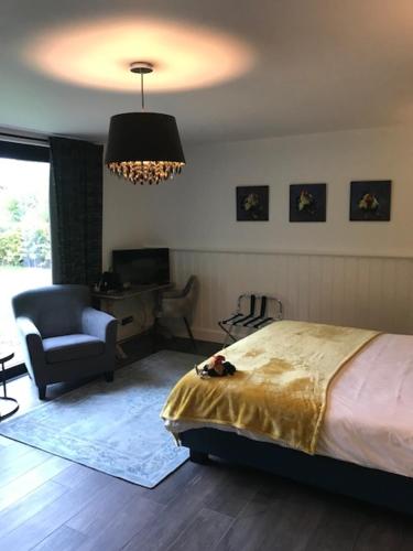 B&B De Hanewijkhoeve - image 13