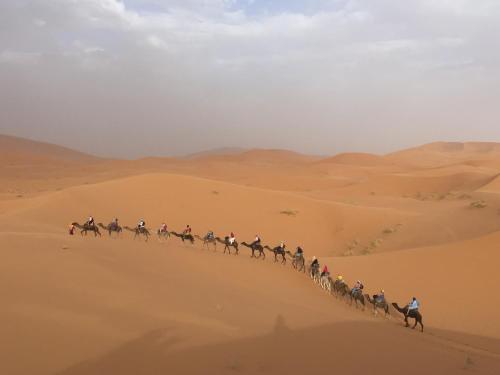 . EnjoyDarmodacamp-Camel Quad Sunboarding ATV