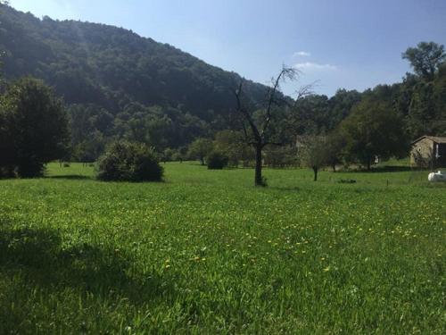 Casa Vacanze Almades in Castelnovo Del Friuli