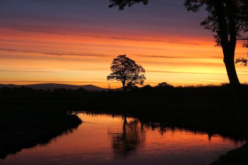 The Cartford Inn - Accommodation - Great Eccleston