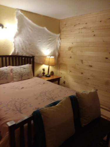 Cute and Cozy Cabin near Heavenly Village - image 10