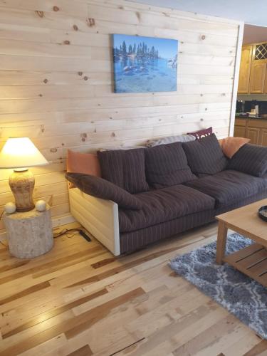 Cute and Cozy Cabin near Heavenly Village - image 4