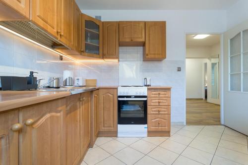 Wodna Street Big Family Apartment, Cracovie (photo 2)