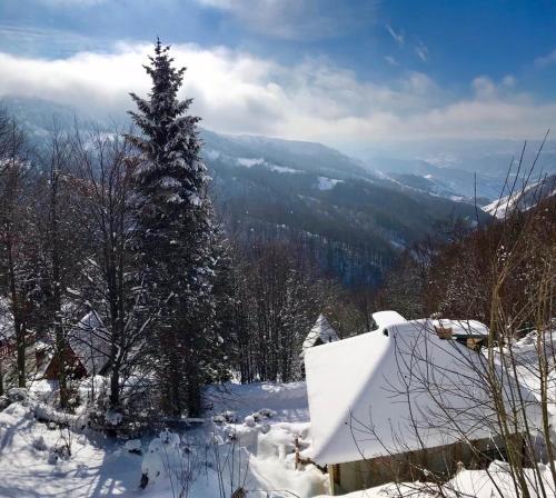 Holiday house Nesovic - image 4