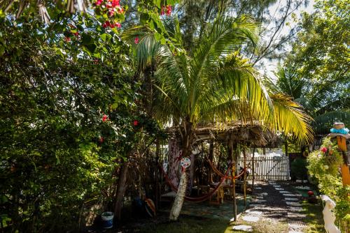 Pousada Canavial Beach-Bar