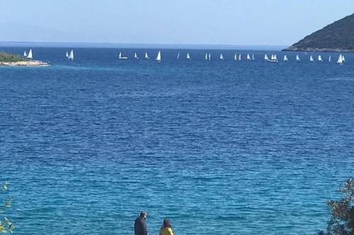  Peaceful garden on the sea in Porto Rafti