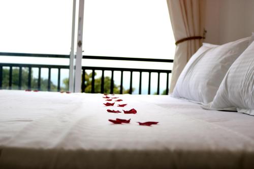 Hotel Kandy Jazz