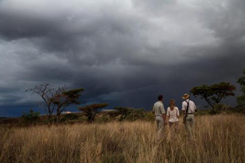 Makweti Safari Lodge