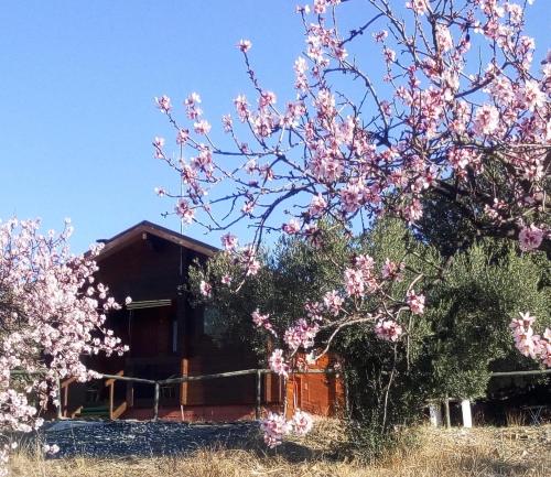  Casa La Colina Mandarina I, Unterkunft in Tahal