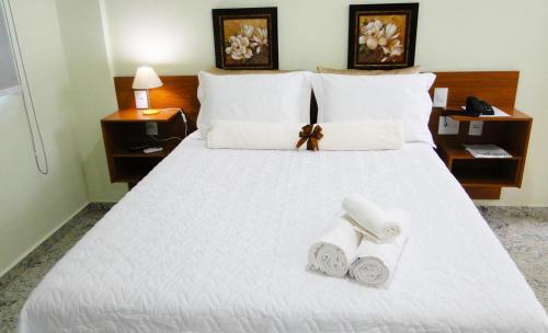 hotel-flor-de-minas hotel-flor-de-minas