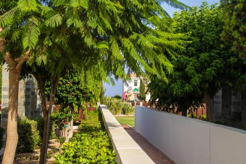 Atlantis Gardens - image 13