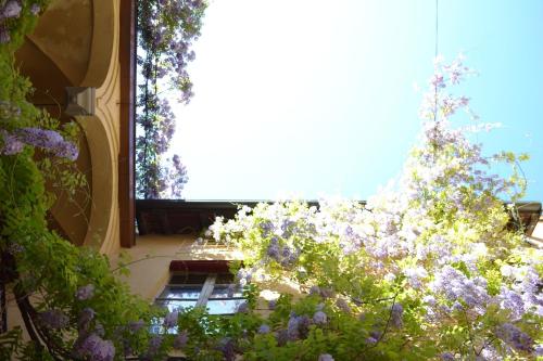 Palazzo Dalla Rosa Prati - image 14