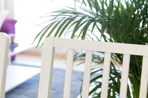 Apartment with Terrace image 7