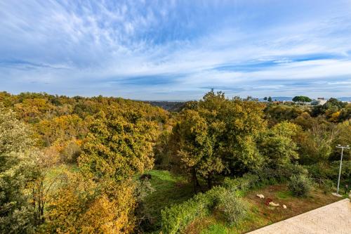 IL Contado B&B in Castel Sant'Elia