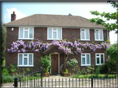 Clay Farm Guest House, , Kent