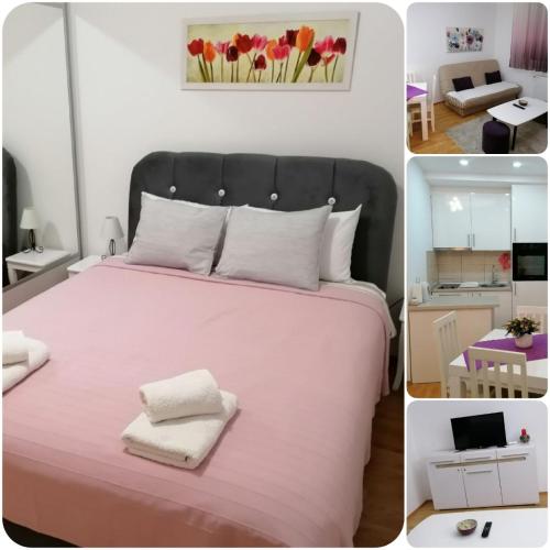 Apartment Kraljica
