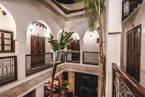 Riad Aguaviva - image 5