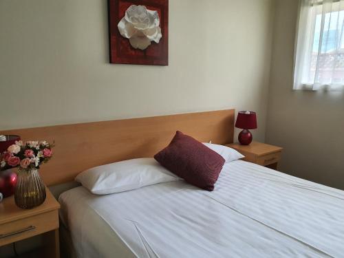 Ocean Inn Motel, Auckland (foto 6)