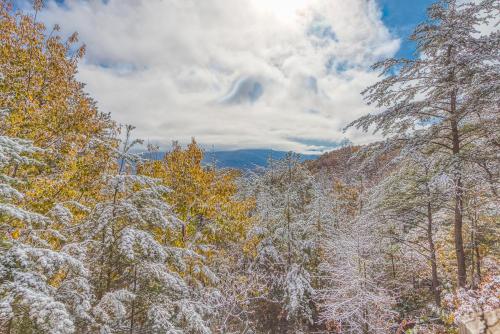 Smoky Mountain Dreamin cabin - image 3