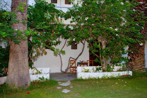 Damnoni Paradise - image 2