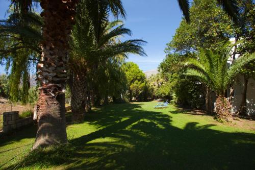 Damnoni Paradise - image 5