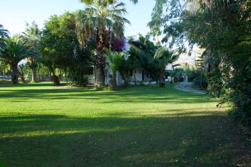 Damnoni Paradise - image 13
