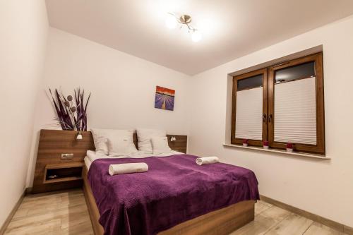 Przy Grajcarku - Apartamenty Homole