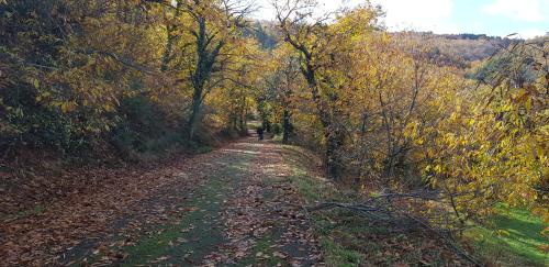 PARNON HOTEL in 華爾維薩拉哥尼亞斯