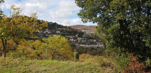 PARNON HOTEL - image 7
