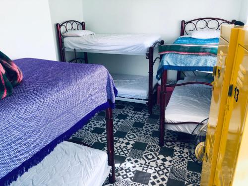 Bunk Bed in Female Dormitory Room   image 3