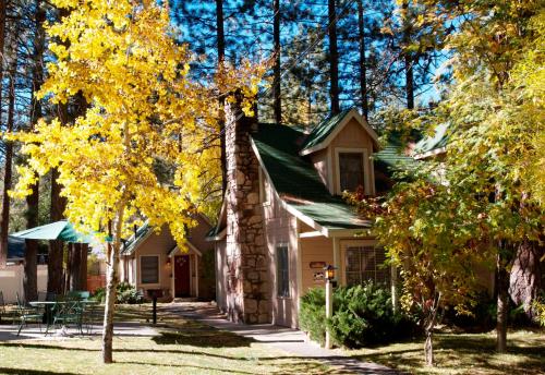 Sleepy Forest Cottages