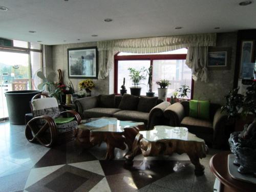 Hol, Goodstay Songwal Park in Sokcho