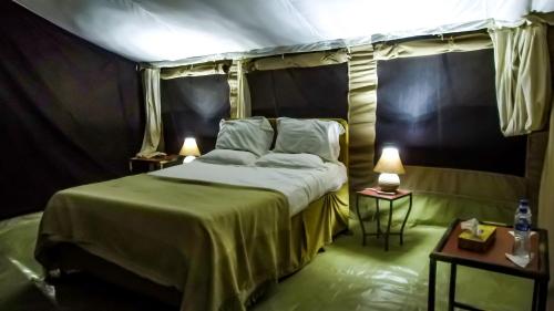 Serengeti Savannah Camps