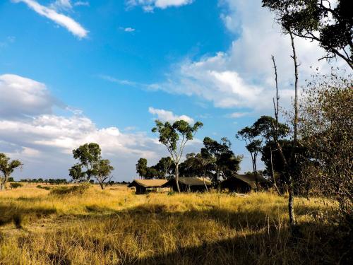 Serengeti Savannah Camps