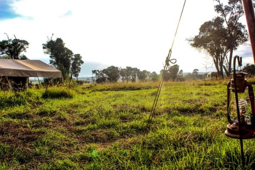 Serengeti Savannah Camps